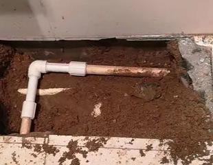 南芬测漏水哪家好