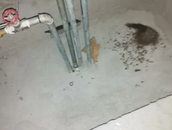 南芬卫生间测漏水价格明细