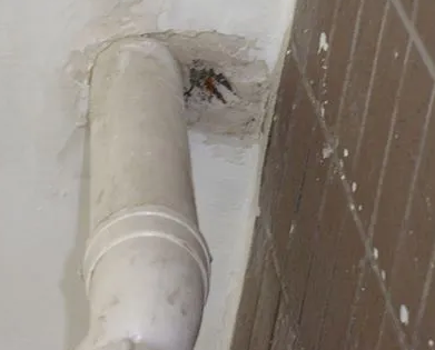 南芬漏水检测哪家好